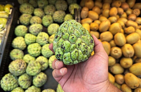 Hand Holding Fresh Organic Custard Apple Fruit at Local Market