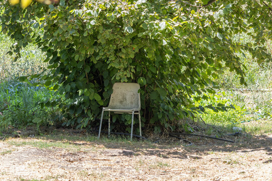 Abandoned plastic chair resting under green tree shade