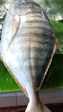 Whole fresh trevally fish on banana leaf at Indonesian traditional market