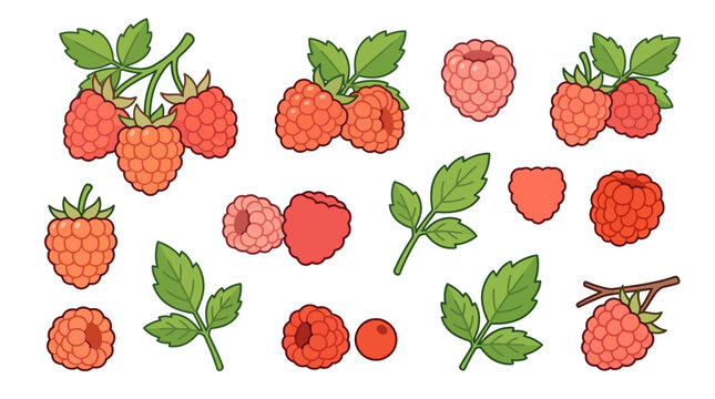 Salmonberry vector illustration set with ripe berries leaves and stems isolated on white background