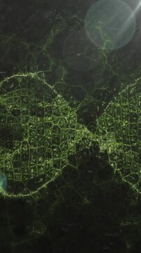 Animation of mathematical equations, light spot and green digital wave against black background