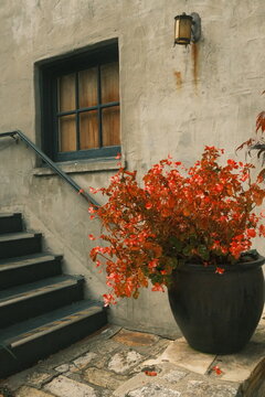 flowers on the stairs