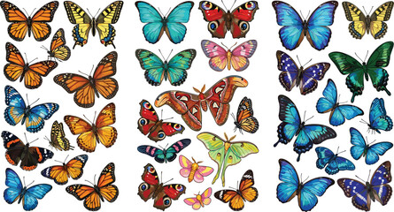 Colorful butterfly collection featuring detailed monarch, swallowtail, blue, tropical, and exotic butterflies in decorative vintage style vector illustration © MdMostafijur