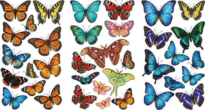 Colorful butterfly collection featuring detailed monarch, swallowtail, blue, tropical, and exotic butterflies in decorative vintage style vector illustration
