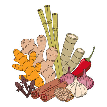 Indonesian traditional mixed spices bundle with turmeric, ginger, lemongrass, garlic, chili, cloves, and cinnamon vector illustration isolated on white background