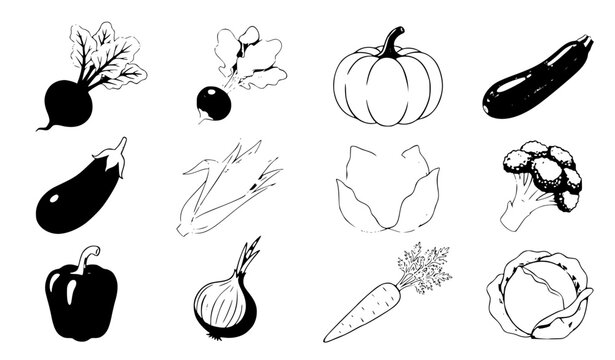 Set of hand drawn vegetables including pumpkin eggplant broccoli carrot and cabbage in black and white style