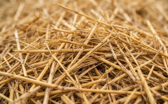 Close up texture of dry golden straw and hay stack agricultural background pattern for farm design and rural themes