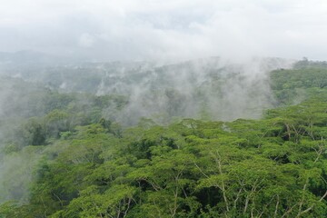 Obraz premium Tropical forest landscape covered in morning mist and drifting clouds