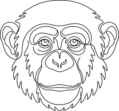 Continuous line drawing of chimpanzee head portrait representing wildlife and monkey icon on white background
