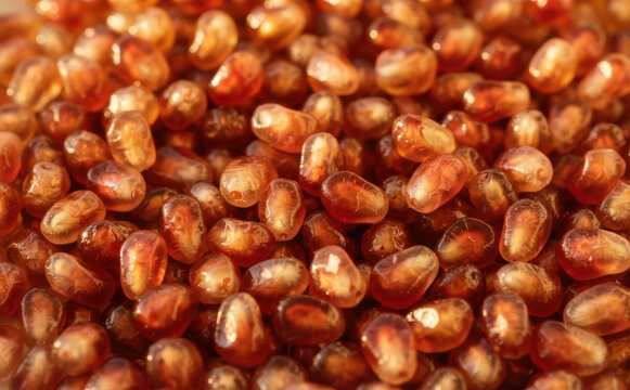 Fresh pomegranate seeds background macro shot close up of sweet juicy red arils healthy organic fruit food texture