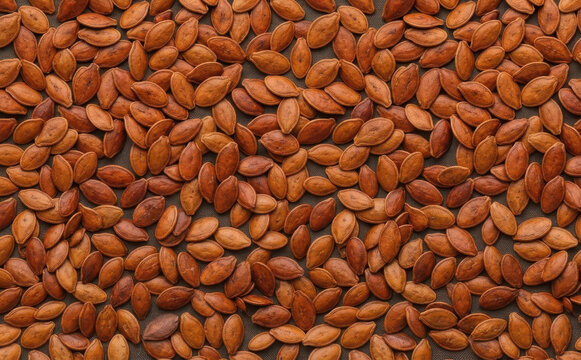 Roasted pumpkin seeds background pattern texture, healthy snack food photography top view, natural organic harvest ingredient concept for diet recipe design