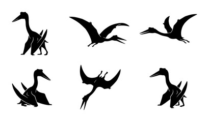 Pterodactyl Silhouettes, Dinosaur Vector Icons, Prehistoric Flying Reptile Graphics, Ancient Creature Set © Ayush