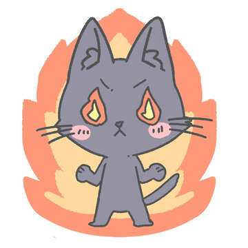Cute angry gray cat with fiery eyes