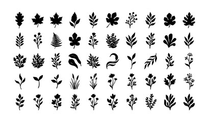 Fototapeta premium Hand Drawn Textured Plant Leaf Silhouette Collection with Organic Vector Shapes