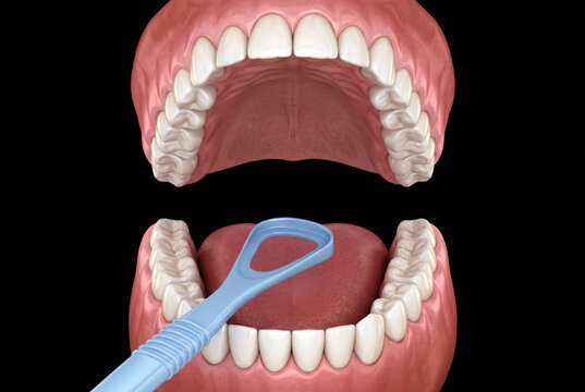 3D medical illustration of a tongue scraper cleaning the surface of the human tongue, with healthy teeth, gums and oral cavity, isolated on black background for oral hygiene education