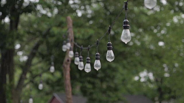 A close up cinematic shot of decorative outdoor string lights with rain drops on bulbs and lush green trees in soft focus background.
