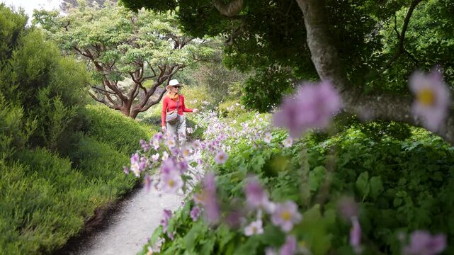 A senior woman walks through Mendocino coast Botanical Gardens in Fort Bragg California, enjoying flowers and nature along the paths