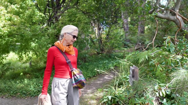 Mature woman walks through Mendocino coast Botanical Gardens in Fort Bragg, California, admiring the flowers and plants around her.