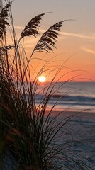 Obraz premium Golden Sunset Over Ocean Waves with Silhouetted Sea Oats on Sandy Beach