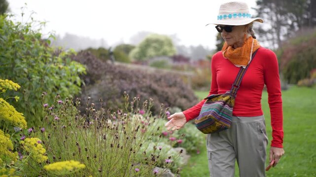 A mature woman enjoys the flowers and plants at Mendocino coast Botanical Gardens in Fort Bragg, California while touring the area.