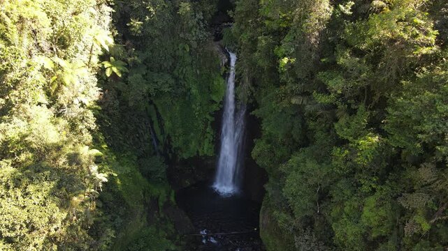 Aerial footage of Cidadap Waterfall Surrounded by Wild Banana Trees and Dense Tropical Vegetation During Morning in Indonesia. Forest and the Flowing Cascade Create Vibrant Nature in the Wilderness.