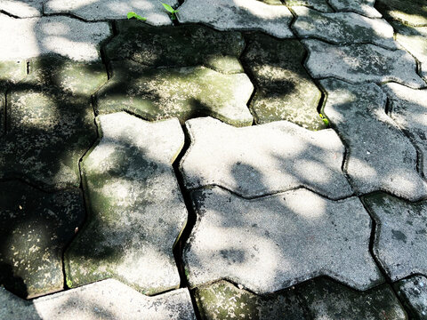 Concrete interlocking paving blocks with green moss and dappled tree shade on walkway