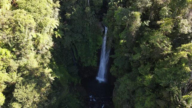 Aerial footage of Cidadap Waterfall Surrounded by Wild Banana Trees and Dense Tropical Vegetation During Morning in Indonesia. Forest and the Flowing Cascade Create Vibrant Nature in the Wilderness.