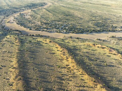 Torgos Lodge, the dry bed of the Auob River and sand dunes grown with camelthorn trees (Vachellia erioloba). During the rains with green vegetation. Aerial view. Drone shot. Kalahari Desert, Namibia