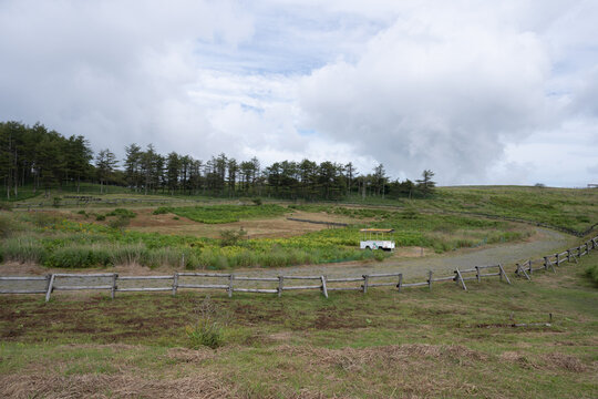 高ボッチ高原の草競馬場
