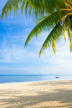 beach on an island with coconut palms and a view of the vast ocean with a small boat