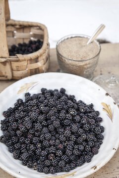 Wild blackberries, brown sugar, picked in the Sierra de Gredos, La Lastra del Cano, Spain