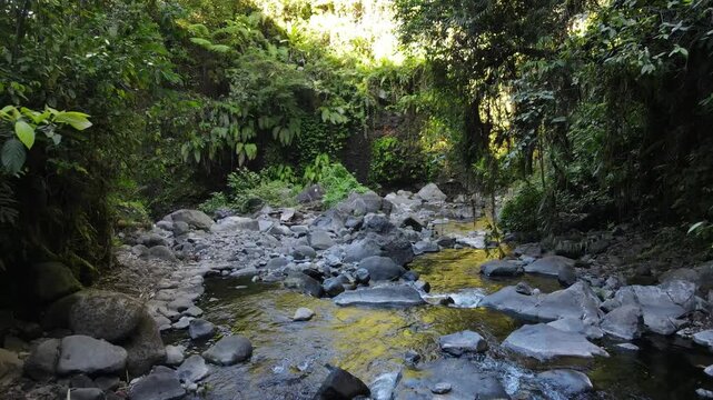 Aerial Footage of a Rocky River with Pristine Waters Flowing Between Dense Forest Trees Covered with Moss and Vines in Indonesia. Tropical and Natural River Rocks Create a Serene Wilderness Scenery.