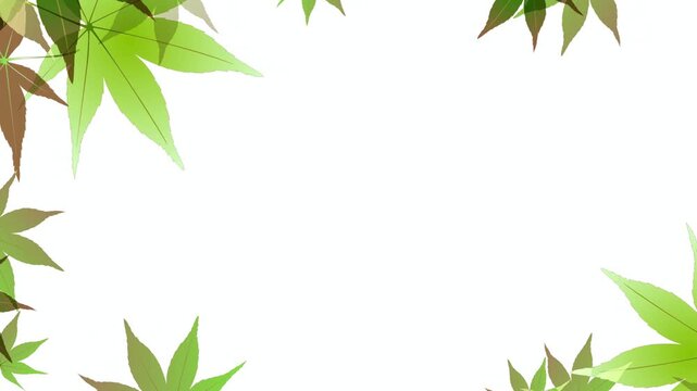 Green Maple Leaves Frame 4K