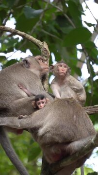 mother and baby