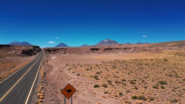 Scenic asphalt road through arid atacama desert landscape with rhea warning sign under clear blue sky in chile.