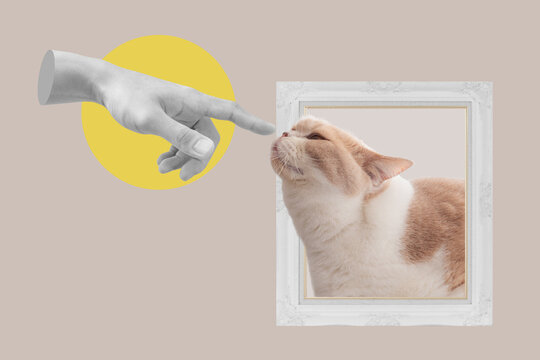 Digital collage modern art, a cat sniffing finger. Cat lover, animal lover, petting cat
