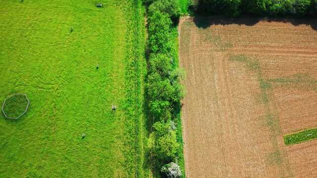 Aerial view of green pasture adjacent to ploughed agricultural field separated by lush hedgerow.