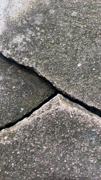 Close Up of Cracked Concrete Pavement, Damaged Grey Cement Texture Background