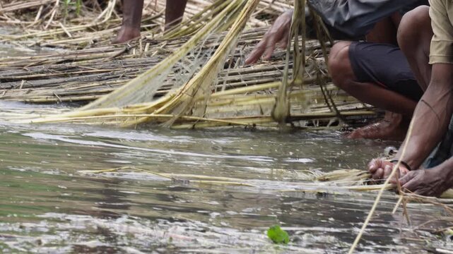 Farmer retting jute stalks in water to extract natural fiber