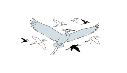 Fototapeta premium Flock of migrating herons flying together in the sky with a large light gray crane in the center of the illustration.