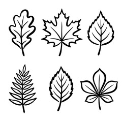 Fototapeta premium Fall Leaves Icon Simple Illustration with Brush Outline