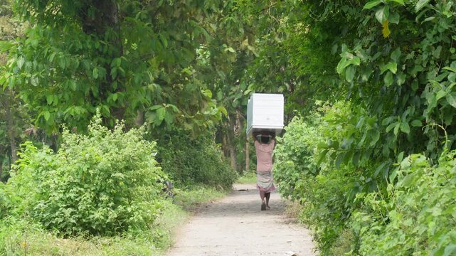 Worker carrying large box on head along green countryside path