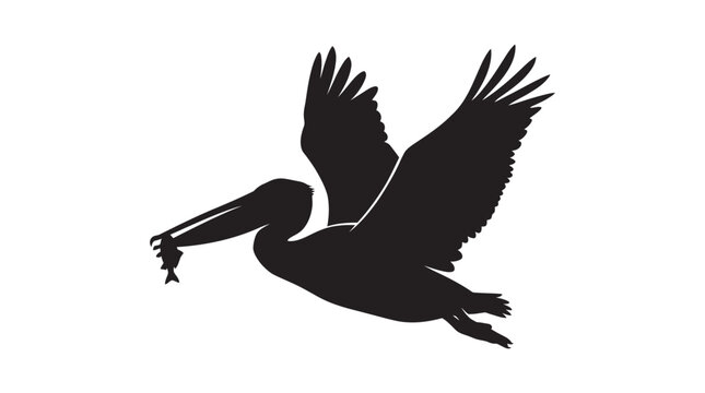 Flying pelican with fish in beak black silhouette