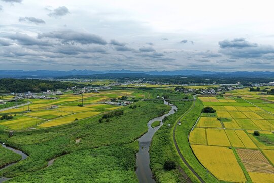 Aerial drone photo of rice paddies and river landscape in Iga, Mie, Japan