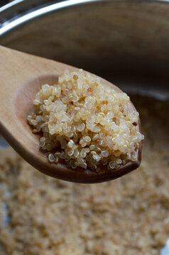 Quinoa cocida servida con cuchara de madera