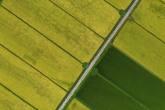 Aerial drone photo of rice paddies and farmland in Iga, Mie, Japan