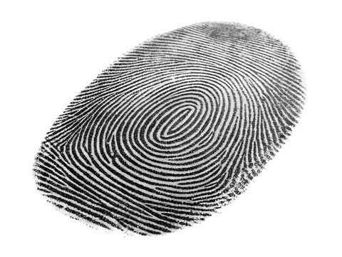 Black Ink Fingerprint Impression Isolated Forensics Security Identification