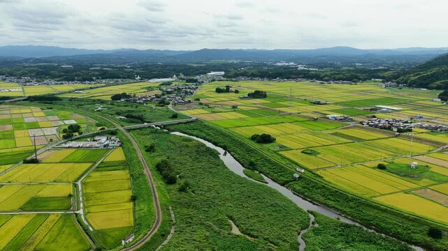 Aerial drone footage over rice fields and river in Iga, Mie, Japan