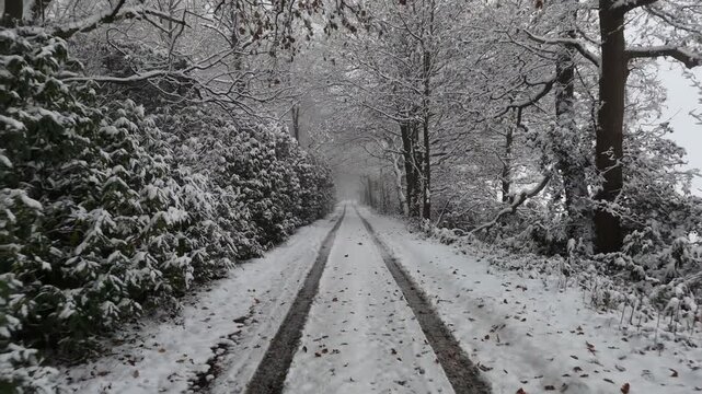 snow covered road