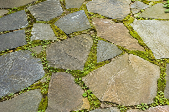 Flagstone patio surface with moss between stones, natural outdoor paving and rustic garden design concept
